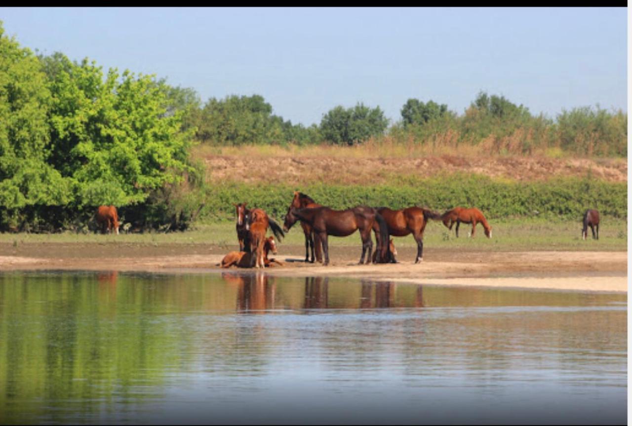 River Sun Valada Luaran gambar